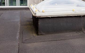 disadvantages of Moulton flat roofs