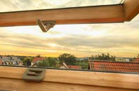rated Moulton roof window companies